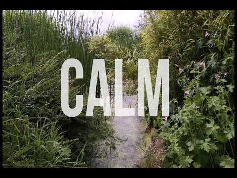 常常感到焦慮嗎？我們該如何找回生命的平靜？ (CALM)