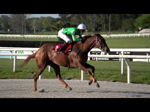 211009 c06 RITA LEE (BRZ)