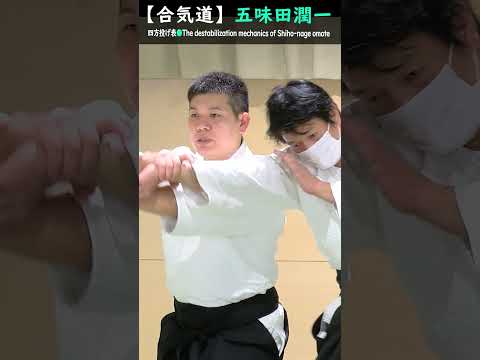 五味田潤一:四方投げ表の崩しのメカニズム【解説】#short #aikido #aikidotechniques #aikidoaikikai #aikidolife #legend  #budo