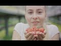 The Sweet Saga Of Swedish Fish