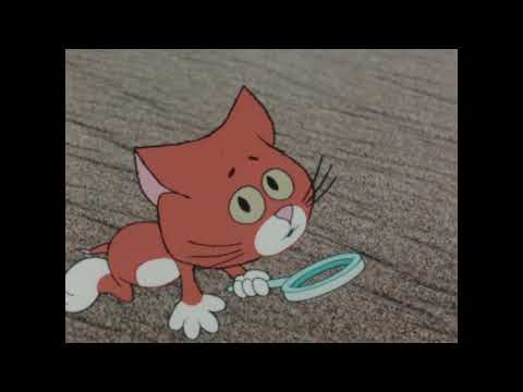 Wonder World Of Science: Where Does Sand Come From? (1989)