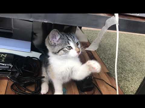 removing the tape👏