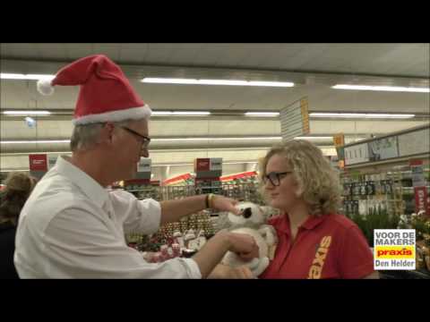 praxis den helder ft susan van der boom mannequin challenge