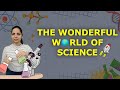 The Wonderful World Of Science Class 6 Science Chapter 1 One Shot NCERT Curiosity