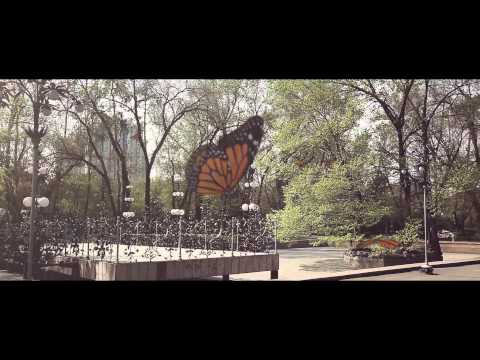 101   Я тебя жду official video HD