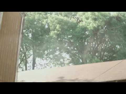 Baby Gwap (Lil Top Mix) Official Video