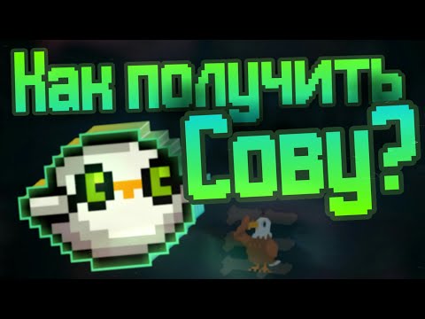 Soul Knight I Как получить Сову ? I Guides