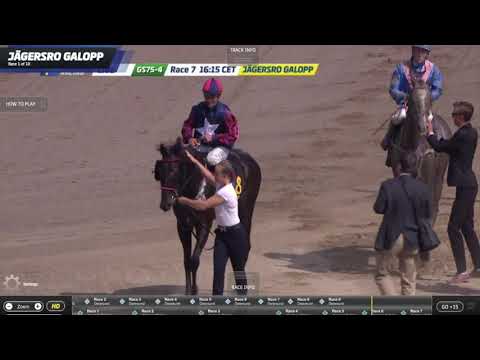 Plantstepsdream - Malmö Stads Pris 2019