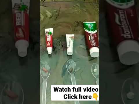 Toothpaste Demo #shorts #youtubeshorts #galway #galwayproduct #toothpaste #toothpastedemo #ytshorts