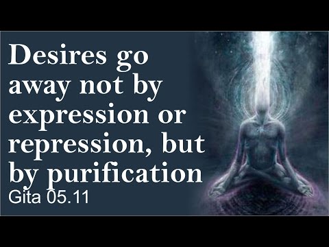 Desires go away not by expression or repression, but by purification Gita 05.11