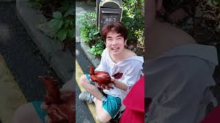 Thumbnail