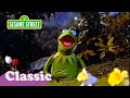 I Wonder Bout The World Song With Kermit Sesame Street Classic