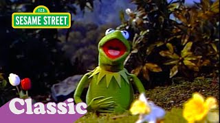 I Wonder &#39;Bout The World Song with Kermit | Sesame Street Classic