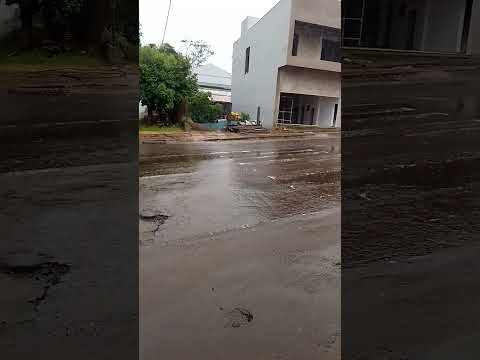 Dois vizinhos muito chuva #paraná #vidanocampo #vidanocampo #doisvizinhos
