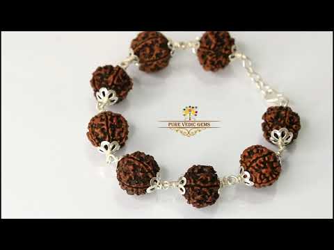 5 Mukhi Rudraksha Bracelet in Silver video
