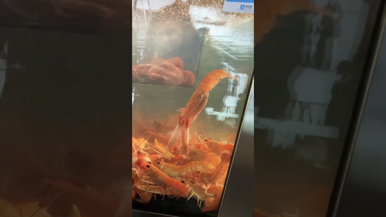 YouTube Short thumbnail