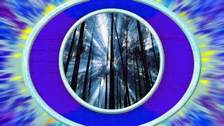 Savoy Brown - Black Night