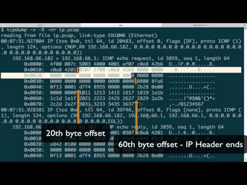Tcpdump - Protocol Review1 (IP)