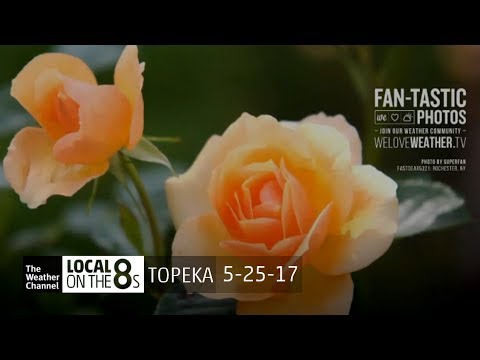 TWC LOT8's w/ LDL Glitch I 12:37 PM CDT 5/25/17