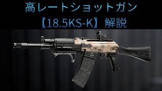 【Battle Field6】高連射ショットガン【18.5KS-K】解説 【BATTLEFIELD6-BF6" 】