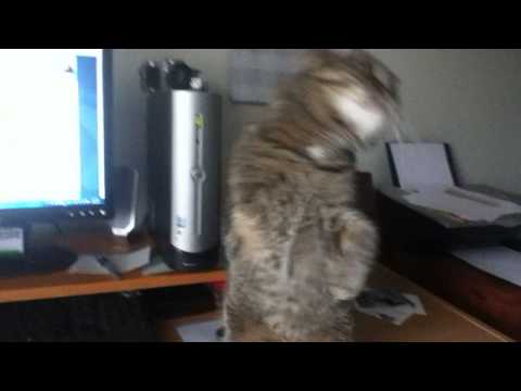 Clark verses the muppets!