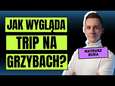 Jak Wygląda Trip Na Grzybach? Mikrodawkowanie. Mateusz Buda TERAPIANOWOCZESNA.PL