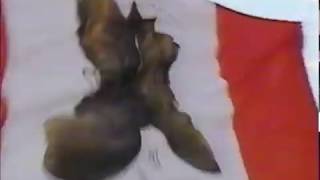 Wayne Rostad's Gatineau Clog Commercial