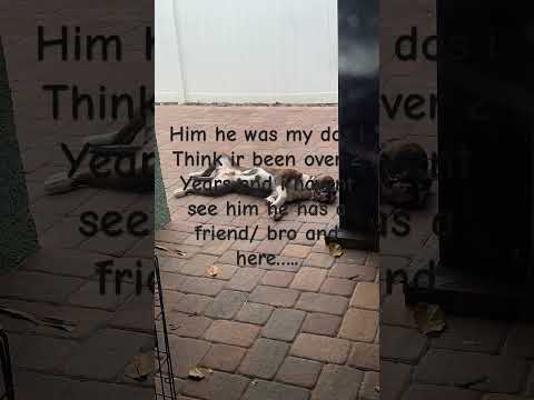 Srry its fast i dont wanna talk about it that much