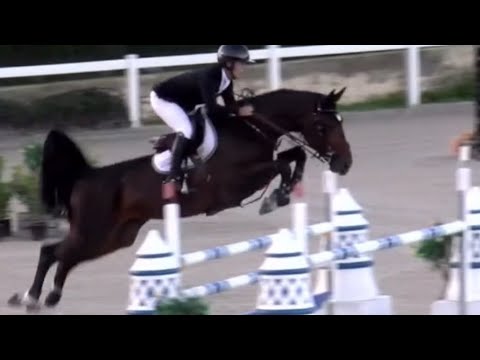 Extreme 111 Z and Sergio Alvarez Moya placed in the 3*