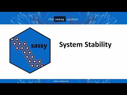 Sassy System Stability