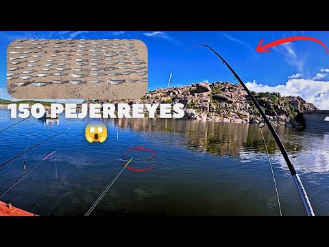 ¡MÁS DE 150 PEJERREYES! ​¿DÓNDE PESCAR EN CÓRDOBA? Explorando el Dique El Cajón y Los Molinos
