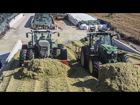 Misja 130ha w 1 Silos! UR BLEJK - 7 Odwozów, "Babka" Na Kopcu, Opór Nie z Tej Ziemi [Boguc AgroTV]