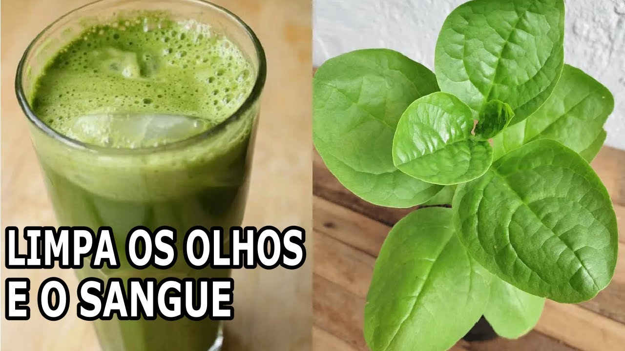 Limpa os Olhos e o Sangue 🌿  Combate Glaucoma, Catarata, Má Circulação 💖 MARILENE SARAH FIALHO