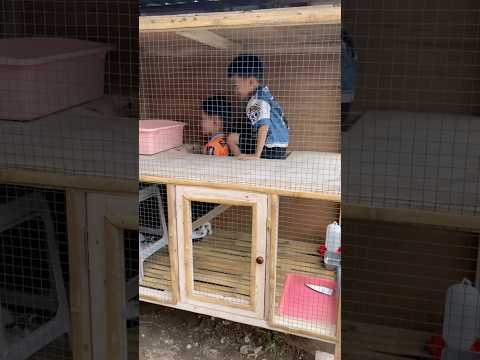 Kerjain Aijaz dan Eren karena gak mau keluar dari kandang kucing