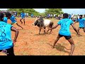 துடிப்பான காளையா துடிப்புமிக்க வீரர�