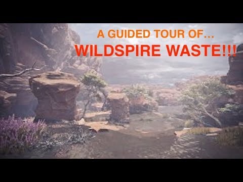 A Guided Tour of Wildspire Waste...