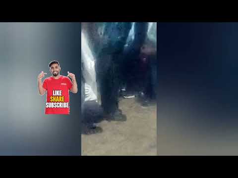 የገጠር ሰርግ የቤተዘመዱ ይታያል ጉዱ😍😍