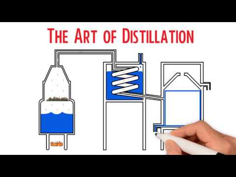 Distillation: How Essential Oils are made