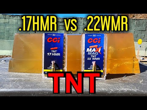 Ruger American .17HMR Carbine CCI 20 Grain Game Point Testing