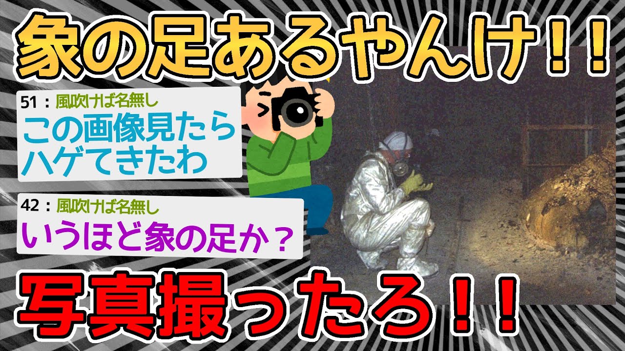 【悲報】象の足やんけ！撮ったろ！！→壊死ニキの足みたいなもんやろ【2ch面白いスレ】