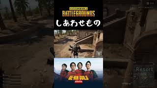 ポジティブなしあわせものです【PUBG】