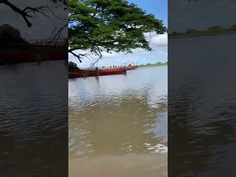 Paso de la negra Municipio Esteros de Camaguan San Fernando de Apure 🇻🇪🇻🇪