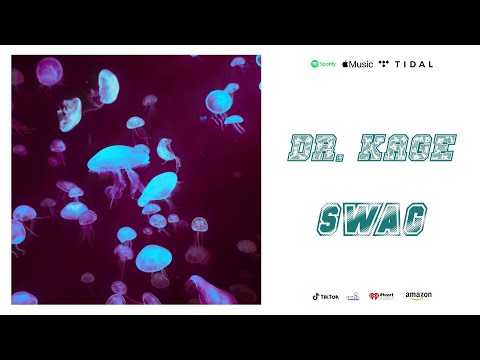 Drake x Migos x Rich the Kid Type Beat - "SWAG" [prod. by Dr. Kage] Vibe Type Beat 2020