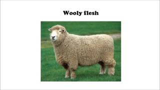 misheard lyrics: Ended With the Night (Caravan Palace)