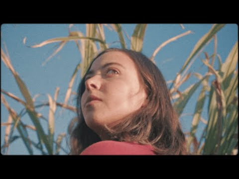 Yellow Dudes - Ordinary Films (The Film)