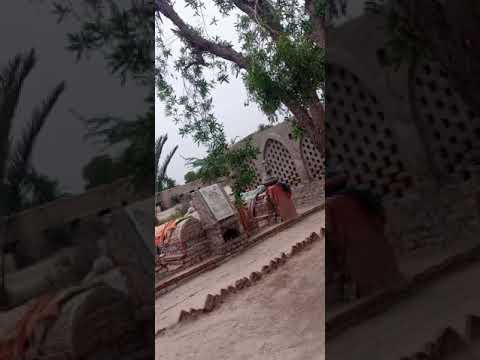 Dargha Amrot Sharif | سیّد شیر محمّد بخاری امروٹی | Amroti Dargha