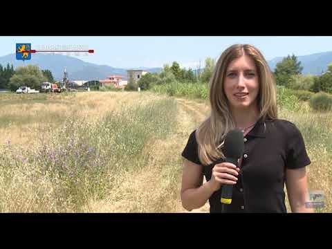 CARMIGNANO INFORMA 29 06 2020