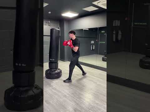 Free Standing Punching Bag Review | RDX Sports Durability Test