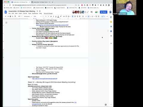 SIG Kubernetes Release Team Bi-Weekly Meeting for 20220809 (v1.25)