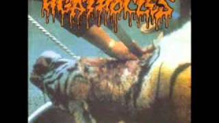 Agathocles - Kiss My Ass